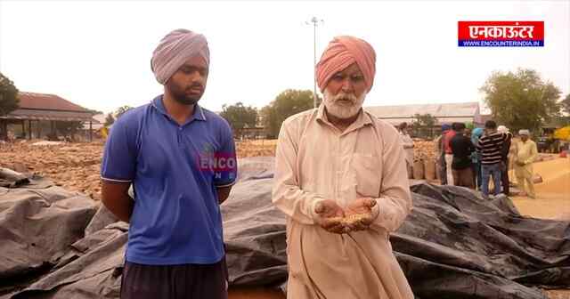 ਪੰਜਾਬ : ਜੈਤੋਂ ਦੀ ਦਾਣਾ ਮੰਡੀ ਦੇ ਹਨ ਮਾੜੇ ਹਾਲਾਤ, ਕਿਸਾਨ ਹੋ ਰਹੇ ਖੱਜਲ-ਖੁਆਰ, ਦੇਖੋ ਵੀਡਿਓ