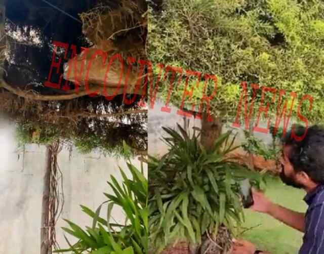 कांग्रेस उम्मीदवार के भाई के घर आयकर विभाग की रेड, पेड़ पर मिले एक करोड़ रुपये! देखें वीडियो