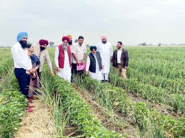 ਮਿਰਚਾਂ ਦੀ ਪੈਦਾਵਾਰ ਵਿੱਚ ਪੰਜਾਬ ਵਿੱਚੋਂ ਮੋਹਰੀ ਜ਼ਿਲ੍ਹਾ ਬਣਿਆ ਫਿਰੋਜ਼ਪੁਰ: ਧੀਮਾਨ