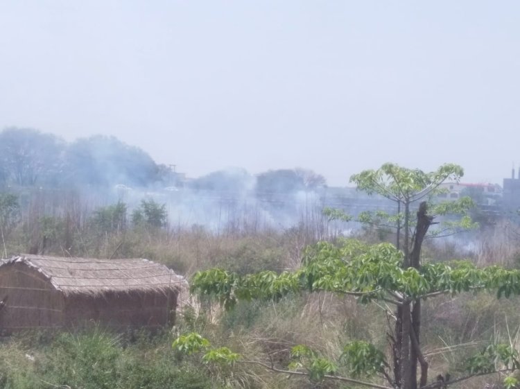 ऊना के जंगलों में आग का ताण्डव जारी