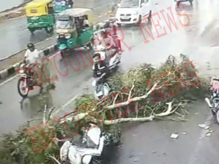 दर्दनाक हादसाः चलती स्कूटी पर गिरा पेड़, देखें वीडियो