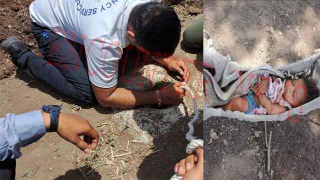 250 फुट गहरे बोरवेल में फंसी ढाई साल की रोशनी, रेस्क्यू ऑपरेशन जारी, देखें वीडियो