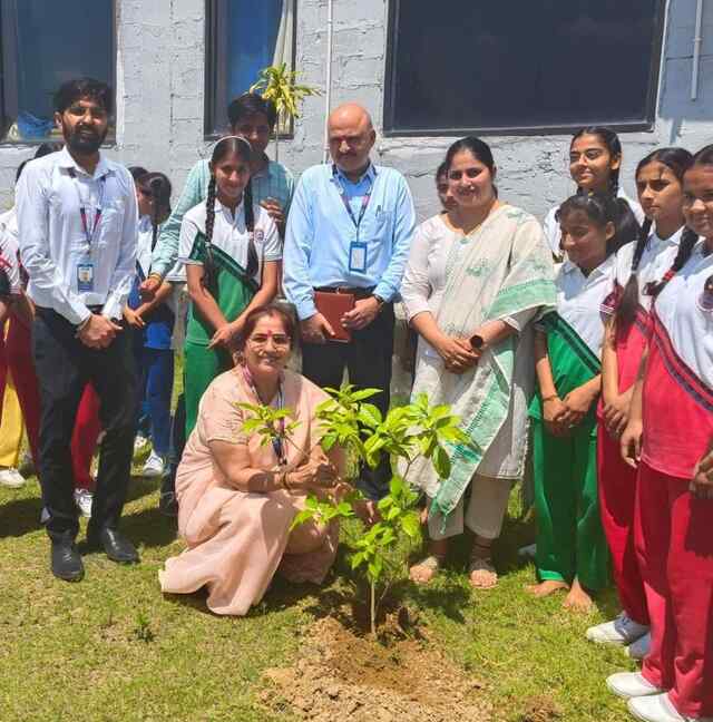 पर्यावरण दिवस पर रॉकफोर्ड डे बोर्डिंग स्कूल में चित्रकला प्रतियोगिता का आयोजन