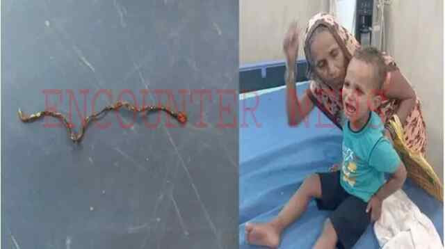 ढाई साल के बच्चे ने चबाया 3 फुट का सांप, मौत