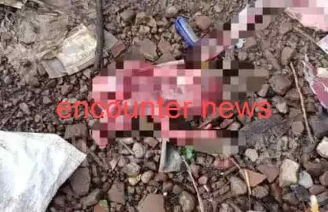 मंदिर के पास भ्रूण को कुत्तों ने नोचा 