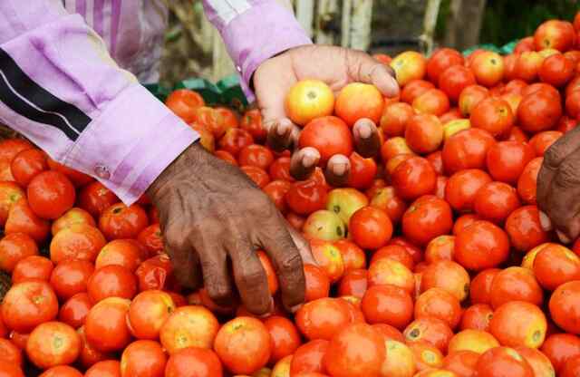 5 टमाटरों के लिए महिला को जाना पड़ा थाने