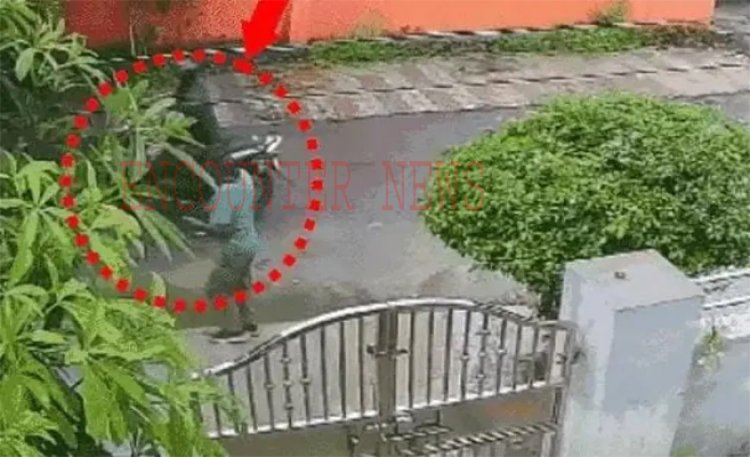 फूल तोड़ने के बहाने महिला के गले से चेन छीन लुटेरे फरार, देखें CCTV