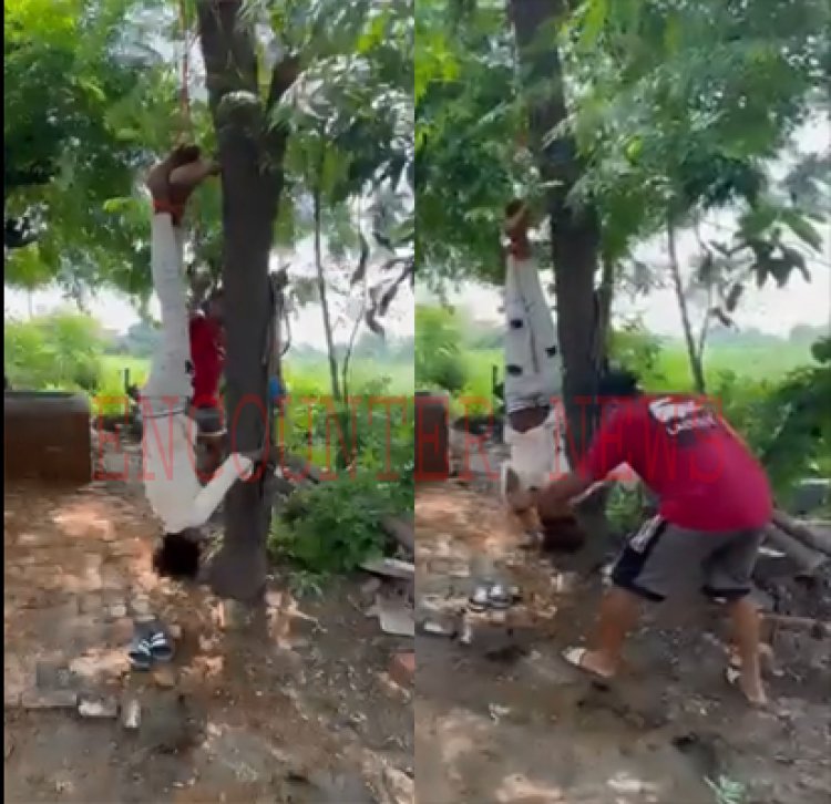 जालंधरः गांव के पंच ने रस्सी से बांध कर नाबालिग को पेड़ से उल्टा लटकाया, देखें वीडियो 