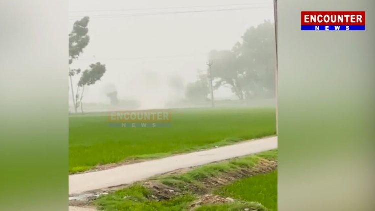पंजाबः बारिश और बाढ़ के बाद आया बवंडर, उखड़े पेड़, देखें वीडियो  