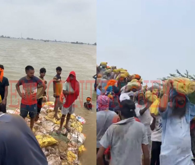 सुल्तानपुर लोधीः 2 दिन पहले विधायक ने तोड़ा था धुस्सी बांध, आज जोड़ने में जुटे, देखें Live