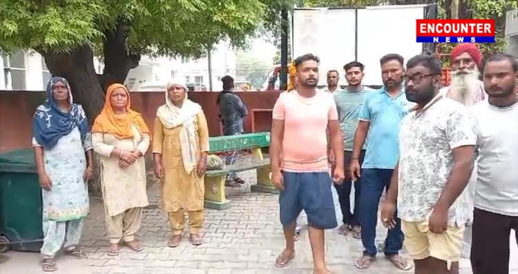 पंजाबः बाढ़ के बाद भूखे मर रहे पशु, चारा ना मिलने पर हुआ झगड़ा, देखें वीडियो