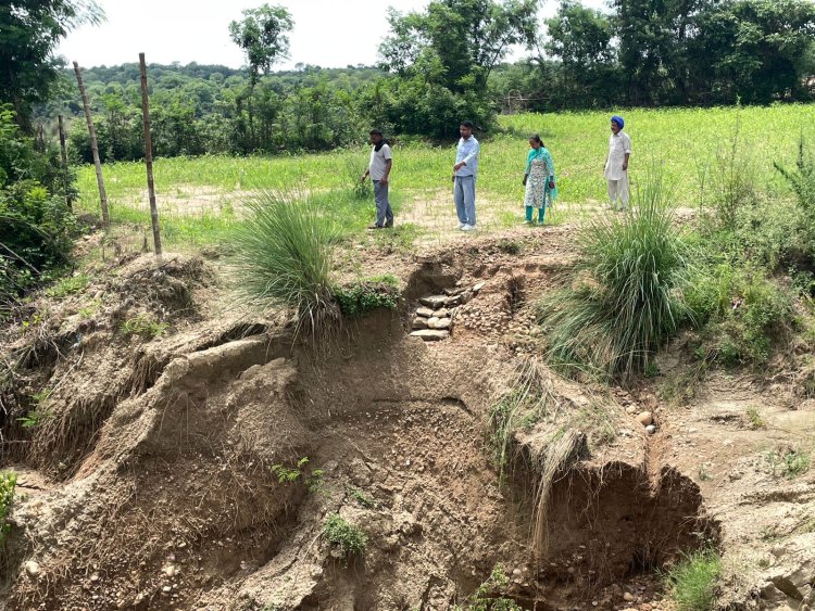 हरोली में आत्मा परियोजना अधिकारियों ने बारिश से हुए नुकसान का जायजा लिया