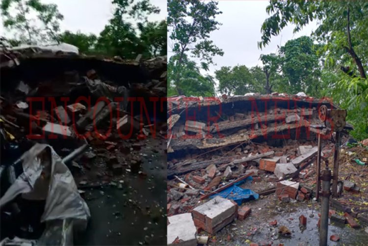जालंधरः  बारिश में गिरा पोल्ट्री फार्म, भारी मात्रा में मुर्गियां मरी, देखें वीडियो