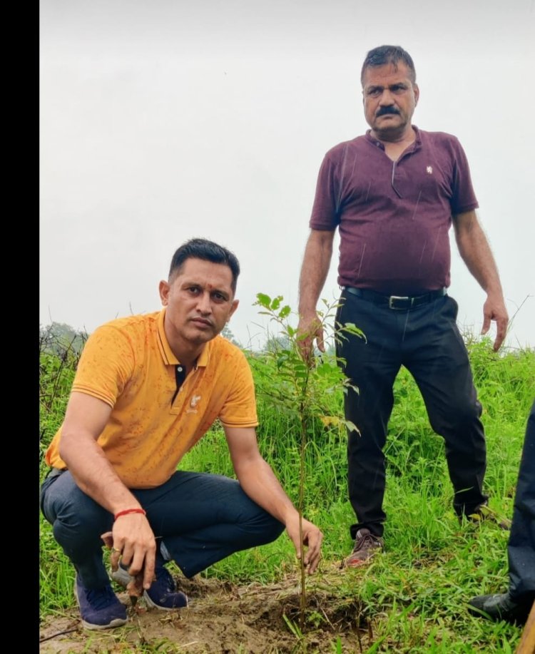 कैहलवीं में हरियाली वन महोत्सव के तहत एक दिवसीय कार्यक्रम आयोजित