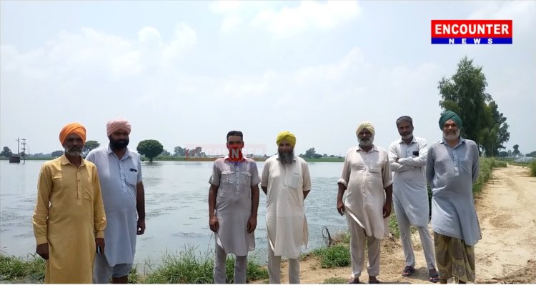पंजाबः बरसात के पानी से खड़ी फसलें हुई प्रभावित, किसान हुए परेशान, देखें वीडियो