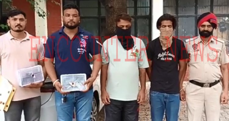 जालंधरः पुल के नीचे खड़े नशीली गोलियों, देसी माउजर और देसी कट्टे सहित 2 युवक गिरफ्तार, देखें वीडियो