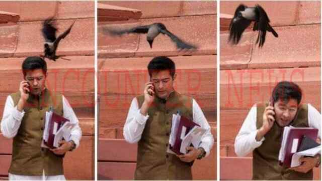 सासंद के बाहर कौए ने किया राघव चड्ढा पर हमला, बीजेपी ने साधा निशाना