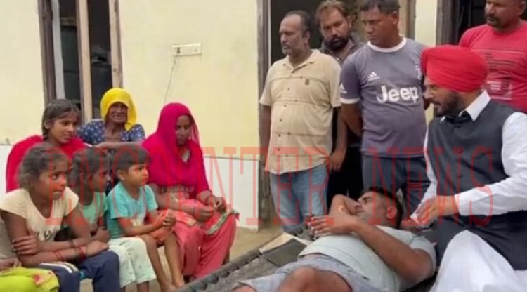 पंजाब: सतलुज दरिया की नोच ठीक करने गए व्यक्ति पर जंगली सूअर ने किया हमला