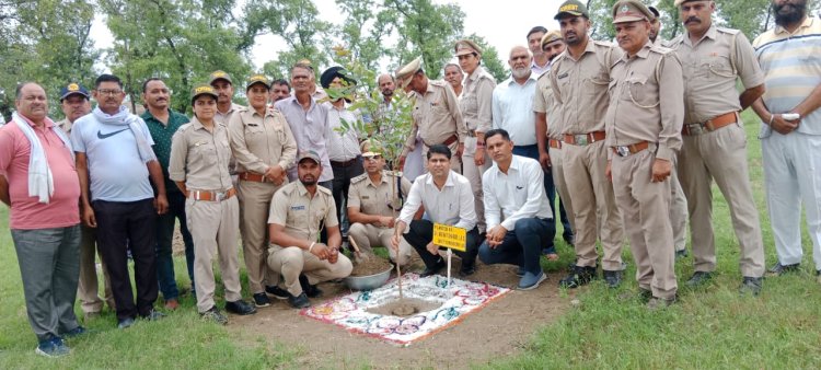 उपायुक्त ने बसाल में रोपित किया बेहड़ा का औषधीय पौधा