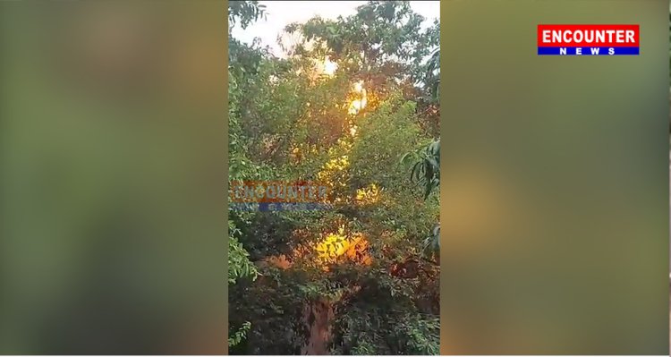 गवर्नमेंट मेडिकल कॉलेज एंड हॉस्पिटल के बाहर बिजली की तारों को लगी आग, देखें वीडियो