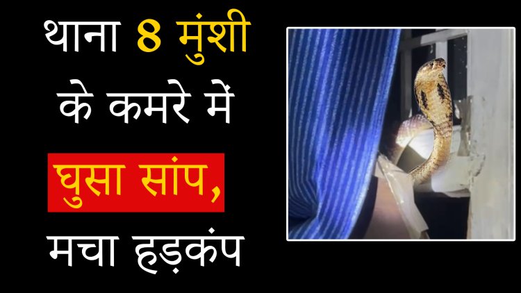 जालंधरः थाना 8 मुंशी के कमरे में घुसा सांप, मचा हड़कंप, देखें वीडियो