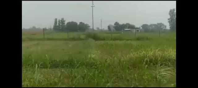 ऊना में बिजली के सात खंभों सहित तारें भी उड़ा ले गए चोर