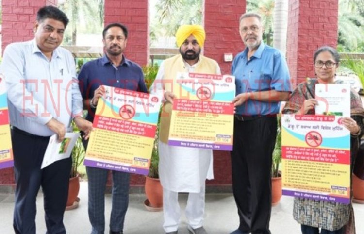 पंजाबः Dengue की रोकथाम को लेकर सरकार ने शुरू की नई मुहिम, दिए ये निर्देश