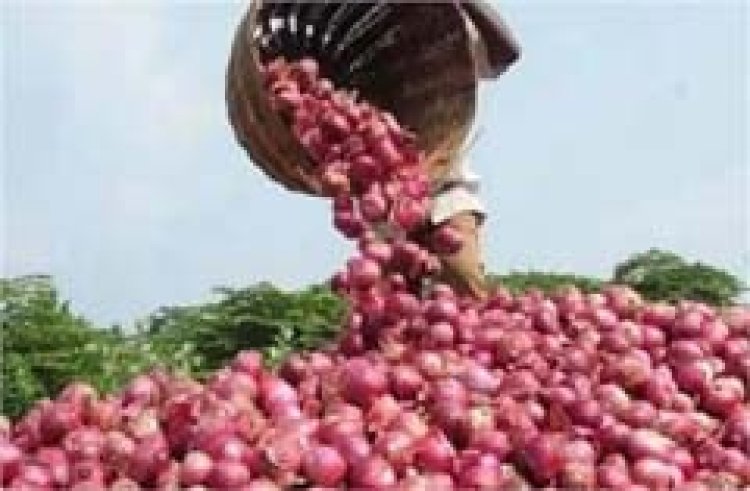 टमाटर के बाद अब रुलाएगा प्याज, इतने रुपये तक बढ़ सकती हैं कीमतें