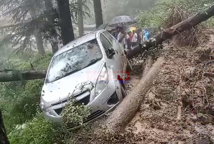 बारिश का कहरः बादल फटने से रिहायशी क्षेत्रों में आया मलबा, कई पेड़ गिरे, देखें वीडियो