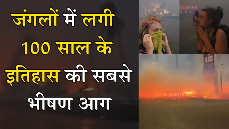 जंगलों में लगी 100 साल के इतिहास की सबसे भीषण आग, देखें वीडियो