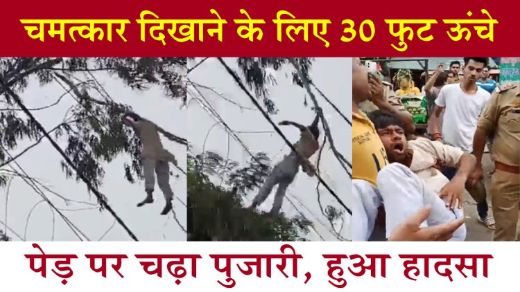 चमत्कार दिखाने के लिए 30 फुट ऊंचे पेड़ पर चढ़ा पुजारी, हुआ हादसा, देखें वीडियो