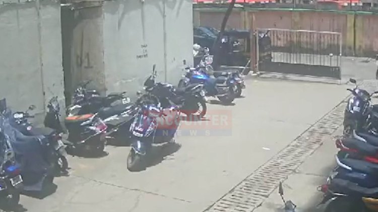 स्ट्रीट डॉग पर महिला ने एसिड से किया अटैक, इस एक्ट्रेस ने बचाई जान, देखें CCTV