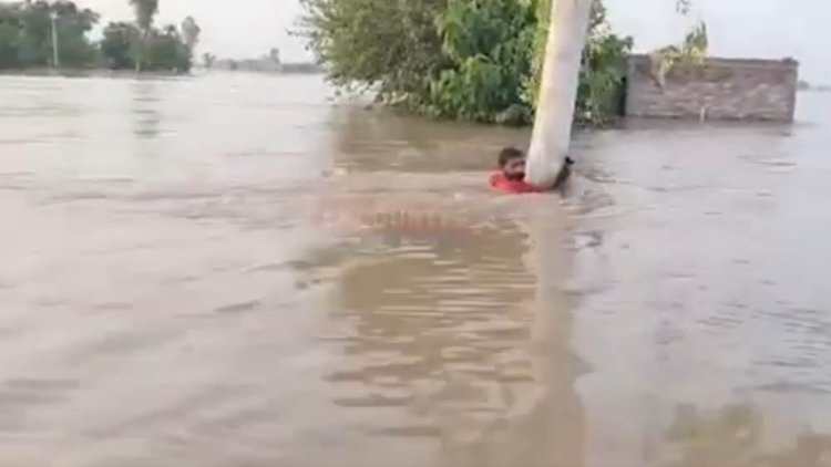 पंजाबः बच्चों को बचाने के दौरान पानी में बहा व्यक्ति, 2 घंटे तक पेड़ पकड़कर चिपका रहा, देखें वीडियो
