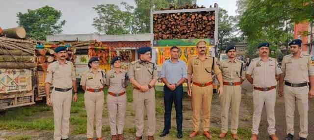 पंजाब आ रही 29 लकड़ी की गाड़ियां पकड़ी, देखें वीडियो