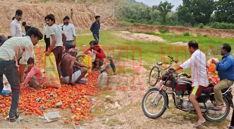 इस जिले में टमाटर लूटने की लोगों में मची होड़, SP ने दिए ये निर्देश, देखें वीडियो