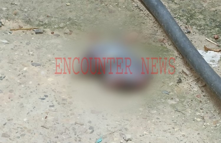 जालंधरः Civil Hospital में फिर मिला मांस का टुकड़ा, प्रशासन का आया बयान, देखें वीडियो