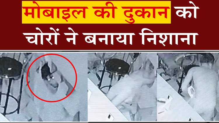 पंजाबः मोबाइल की दुकान को चोरों ने बनाया निशाना, देखें वीडियो