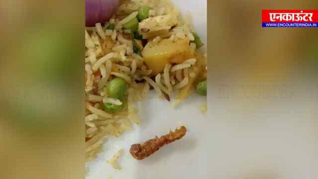 पंजाबः Gyan Dhaba के पुलाव में निकला कीड़ा, 2 की बिगड़ी तबीयत, हुआ हंगामा, देखें वीडियो