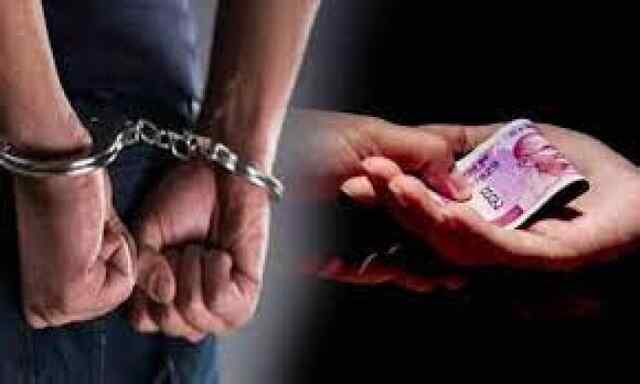 8 हजार रुपए की रिश्वत लेते पटवारी सहायक काबू