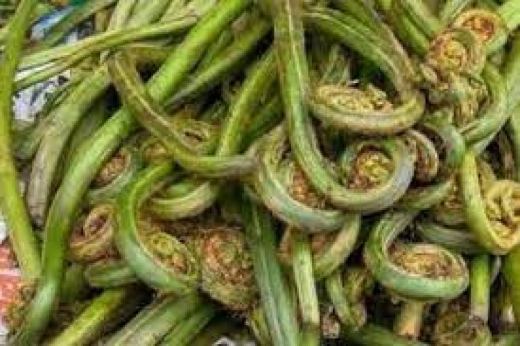मीट-मछली से भी ज्यादा ताकत देती है यह सब्जी