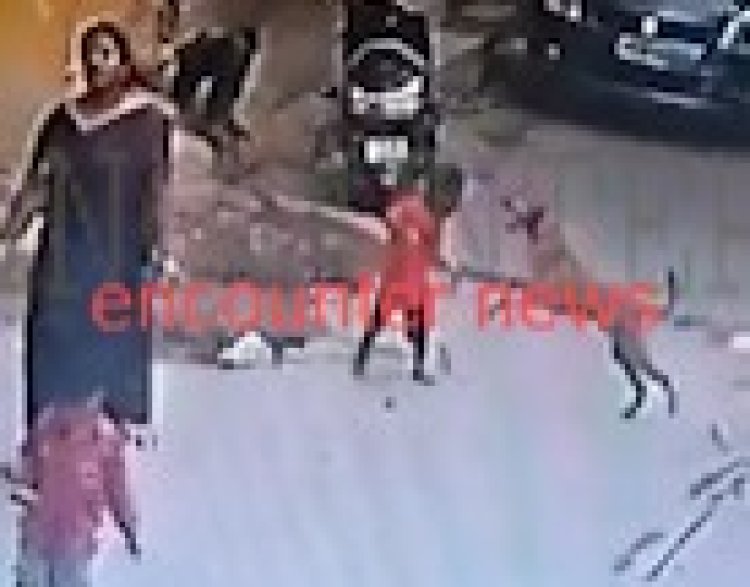 आवारा कुत्ते ने 5 वर्षीय बच्चे कर किया हमला, देखें CCTV