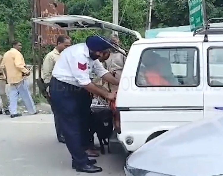 पंजाब : पुलिस ने चलाया ऑपरेशन Seal-4, देखें वीडियो