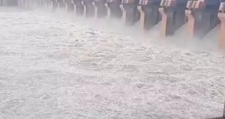 गणेश विसर्जन के दौरान डैम में डूबने से चाचा-भतीजे की मौत