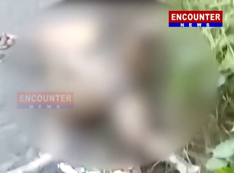 फगवाड़ा : नहर में तैरता मिला युवक का शव, देखें वीडियो