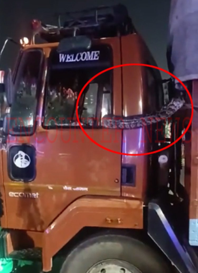 ट्रक में अजगर घूसने से मचा हड़कंप, देखें वीडियो
