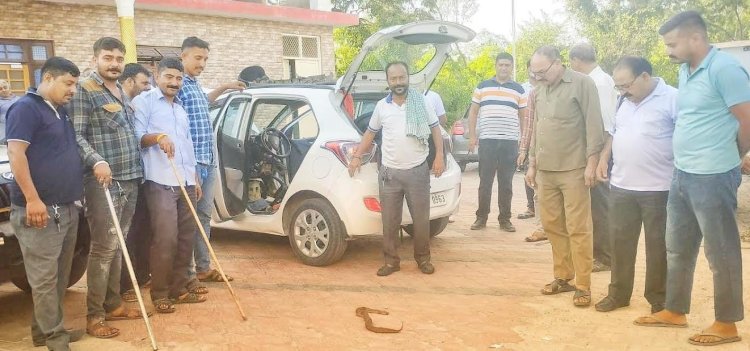 गाड़ी में घुस गया साँप,चार घण्टे के बाद टैक्सी चालकों ने निकाला बाहर