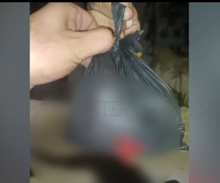 पंजाब  : इस इलाके में गौ-मांस मिलने से हुआ हंगामा, एक काबू, देखें वीडियोे