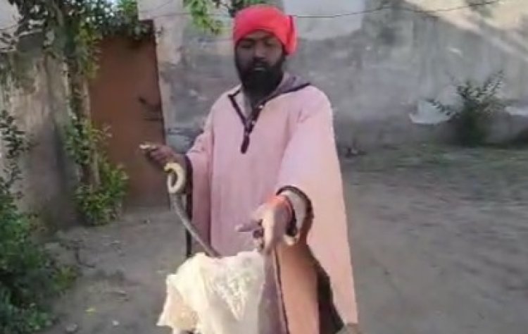 ਪੰਜਾਬ: Gopal Sweets ਦੇ ਗੋਦਾਮ ‘ਚ ਸੱਪਾਂ ਦੇ ਜੋੜੇ ਨਿਕਲਣ ਨਾਲ ਮਚਿਆ ਹੜਕੰਪ, ਦੇਖੋਂ ਵੀਡਿਓ