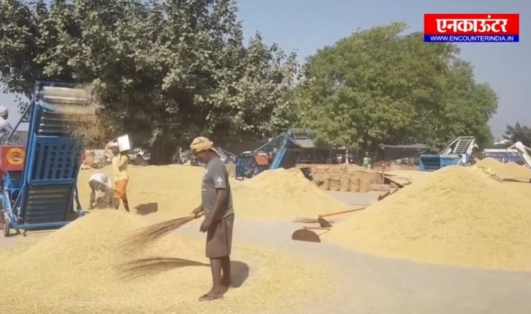 पंजाब :  मंडी में फसल की लिफ्टिंग को लेकर ठेकेदार व ट्रक यूनियन में  हुआ विवाद, देखें वीडियो 