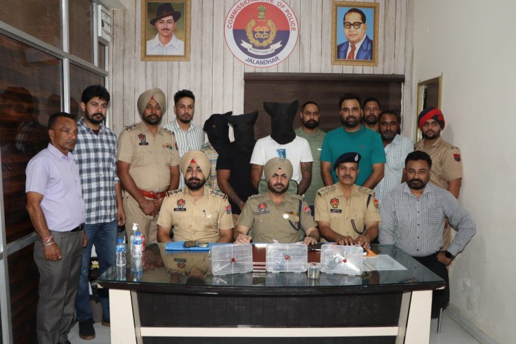 जालंधरः अवैध हथियारों व अफीम के सहित 3 गिरफ्तार